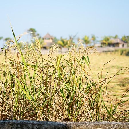 Bali Tiger Hideaway Hotel Pulukan Kültér fotó