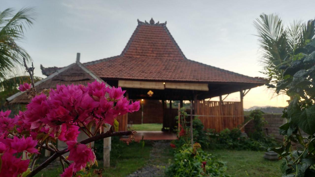 Bali Tiger Hideaway Hotel Pulukan Kültér fotó