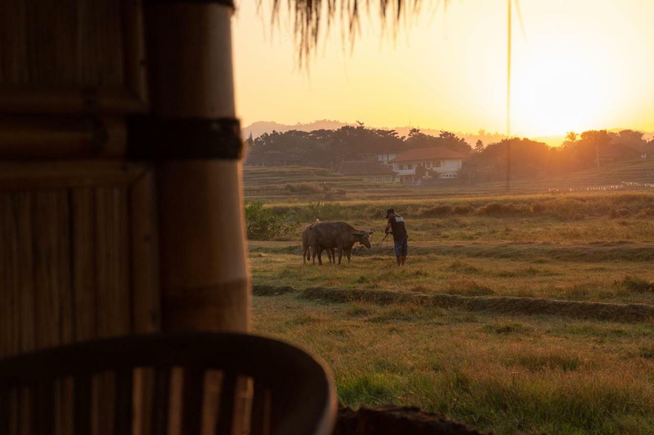 Bali Tiger Hideaway Hotel Pulukan Kültér fotó